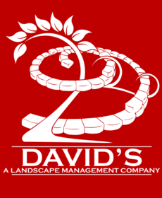 David's Lawn Care Plus